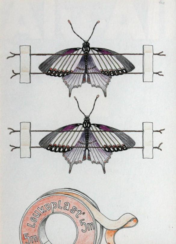 Afbeelding van het kunstwerk 'opgeplakte vlinders' van Theo Goedings