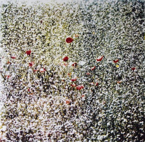 Afbeelding van het kunstwerk 'zomer 1977' van Koos van Tol/Leen van Weelden