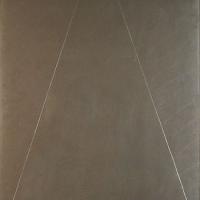 Afbeelding van het kunstwerk 'bilocatie' van Marten Hendriks