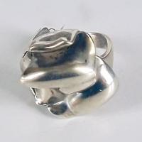 Afbeelding van het kunstwerk 'zilveren ring' van G. Zielstra